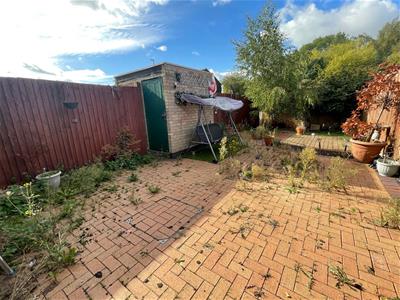 Picture 20
